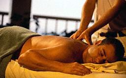 picture 228x312